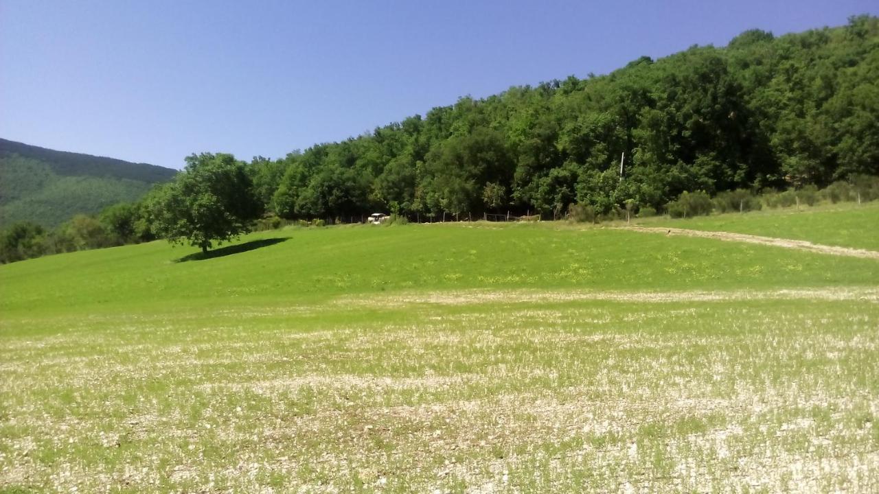 Agriturismo Il Casale Degli Amici Norcia Dış mekan fotoğraf
