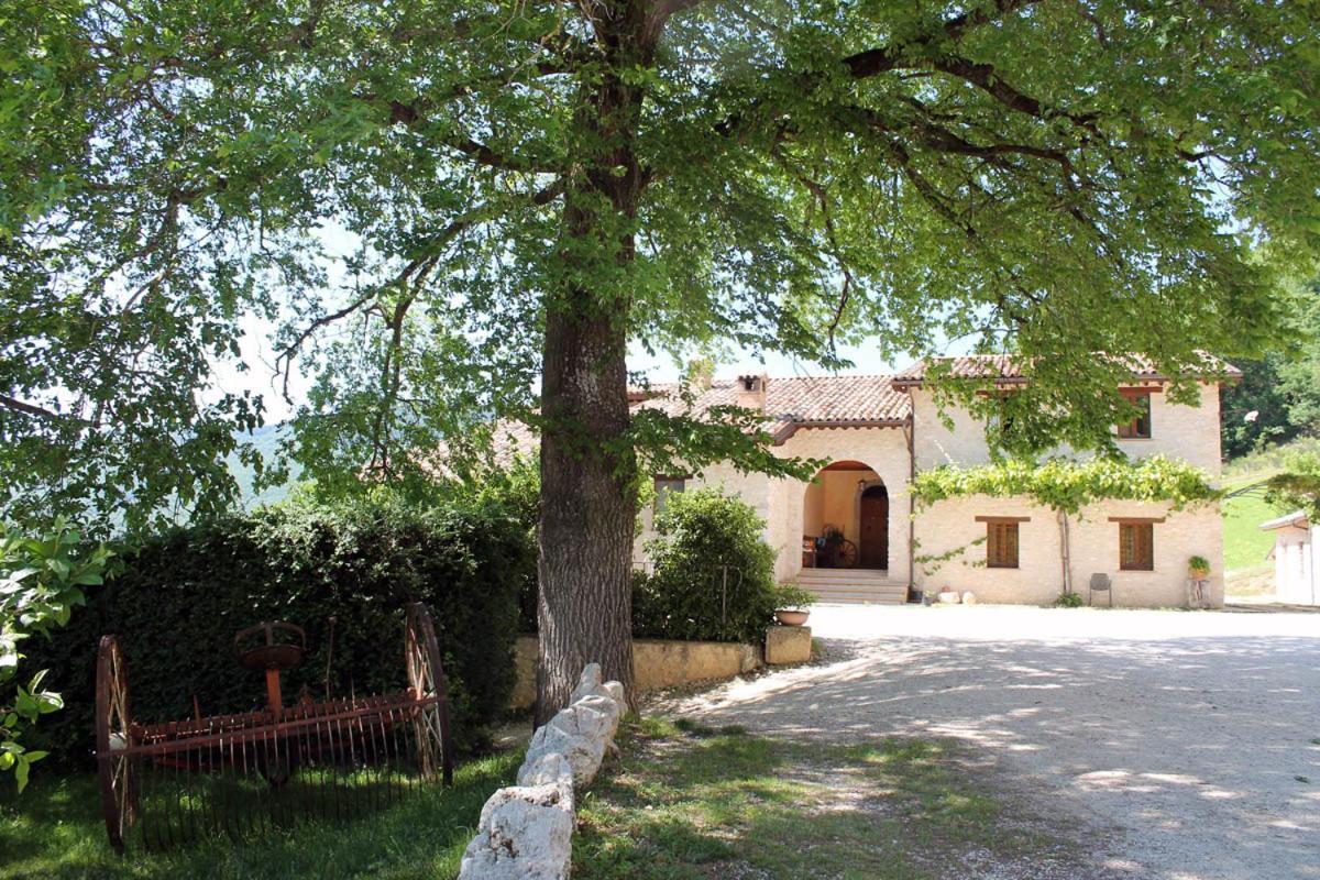 Agriturismo Il Casale Degli Amici Norcia Dış mekan fotoğraf